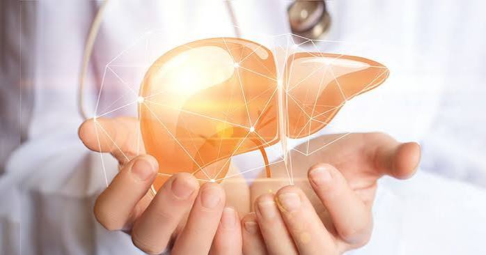 Liver cancer screening ultrasound — high-risk adult surveillance for hepatocellular carcinoma