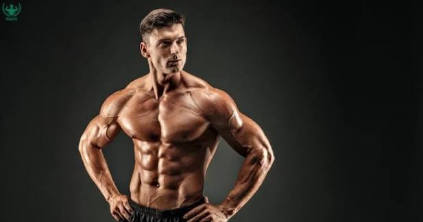 Muscle health basics for adults — featured image showing muscle fiber anatomy resistance training and protein for muscle maintenance
