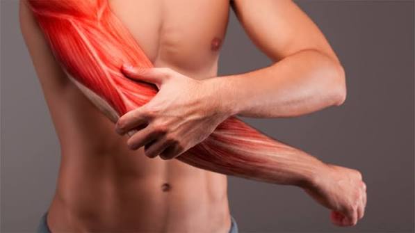 Muscle pain common causes and warning signs — featured image showing muscle anatomy soreness strain and inflammation