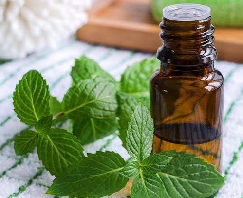 Enteric-coated peppermint oil capsules in a blister pack with a peppermint leaf beside them, illustrating the importance of the enteric coating for IBS treatment versus non-coated peppermint oil products