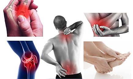 Bone joint and muscle health diagram showing the musculoskeletal system components including bones joints muscles and tendons in the human body